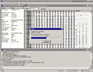 JFlash programming 300